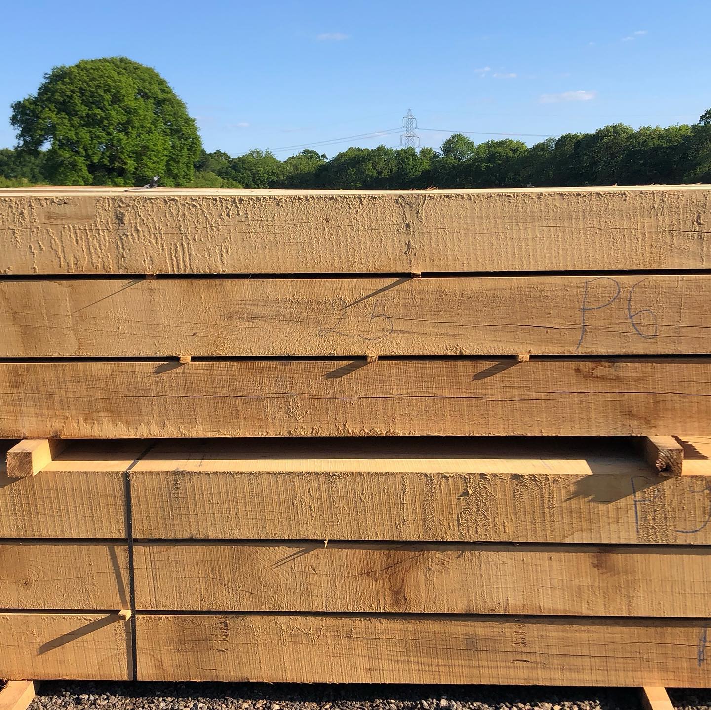Oak Beam Qp1a